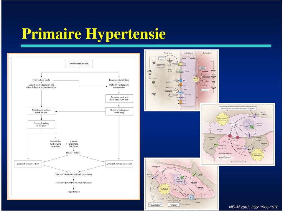 NEJM 2007;