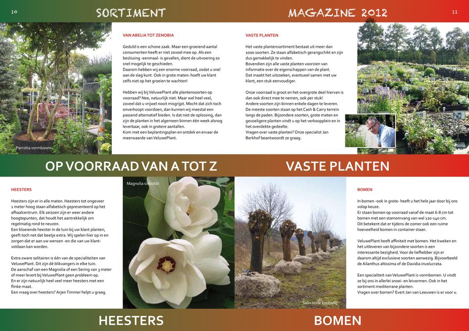 Ook in grote maten: hoeft uw klant zelfs niet op het groeien te wachten! Hebben wij bij VeluwePlant alle plantensoorten op voorraad? Nee, natuurlijk niet.