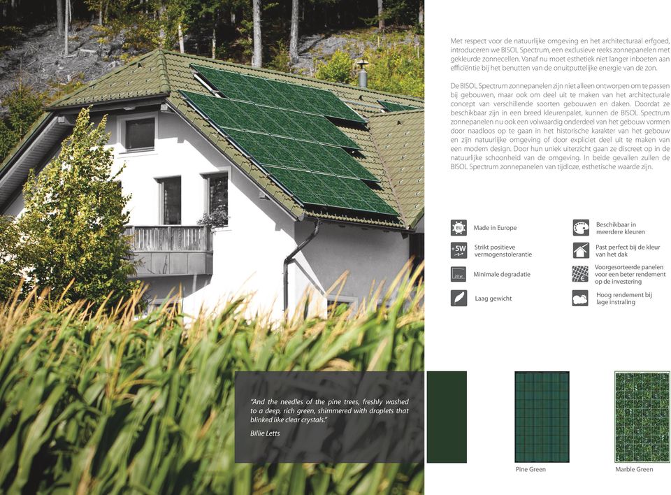 De BISOL Spectrum zonnepanelen zijn niet alleen ontworpen om te passen bij gebouwen, maar ook om deel uit te maken van het architecturale concept van verschillende soorten gebouwen en daken.