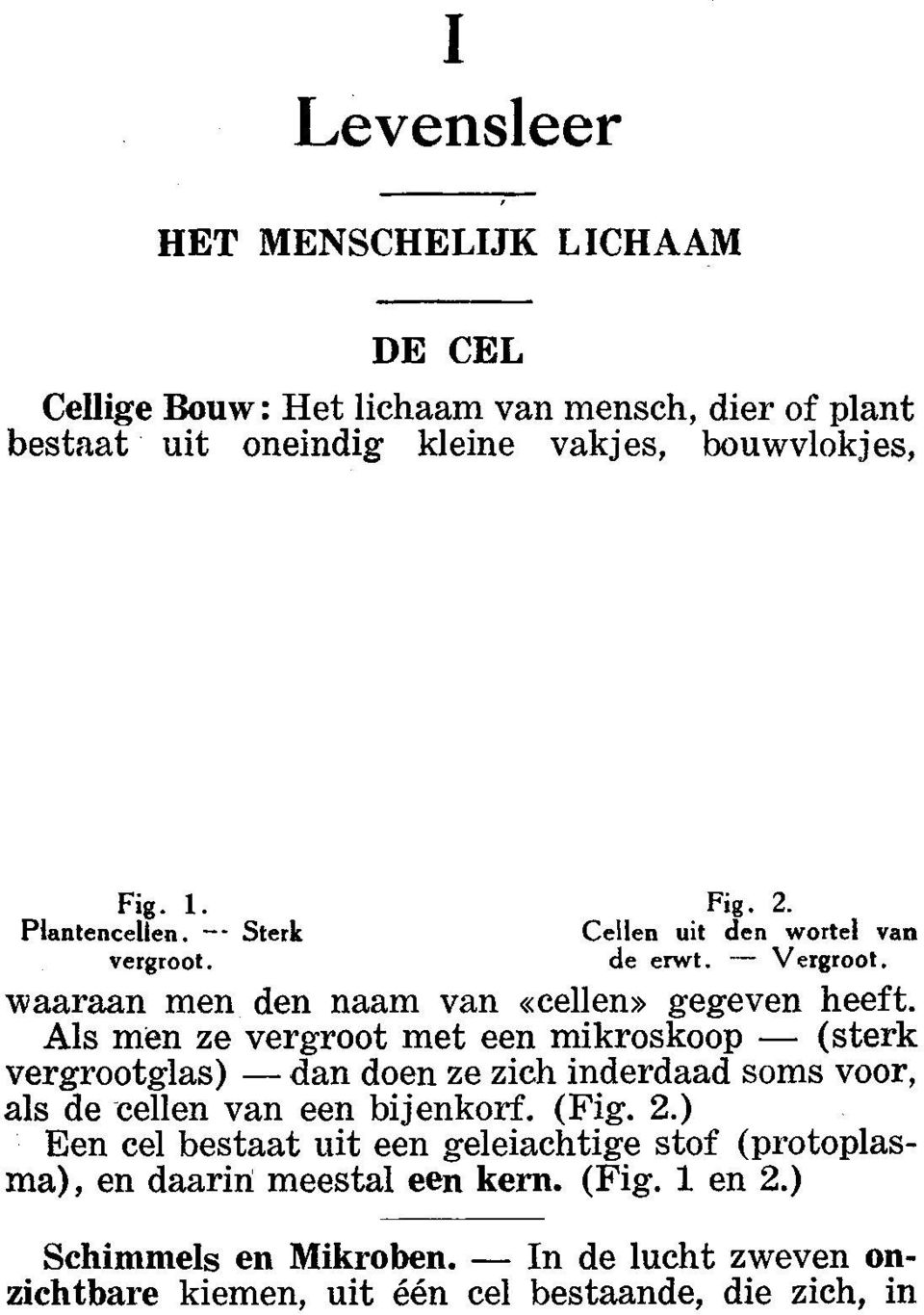 Als men ze vergroot met een mikroskoop - (sterk vergrootglas) -dan doen ze zich inderdaad soms voor, als de -cellen van een bijenkorf. (Fig. 2.