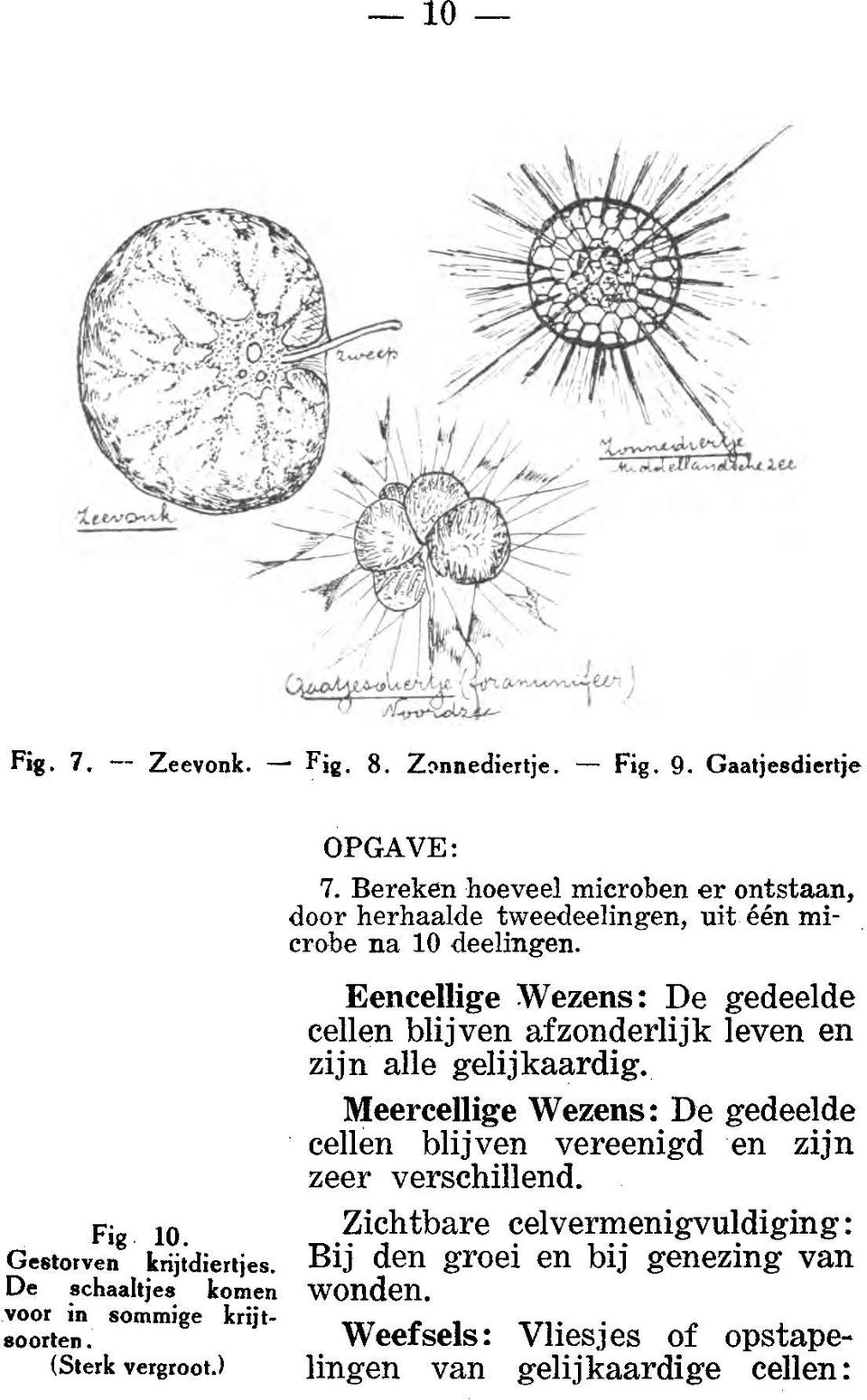 Bereken hoeveel microben er ontstaan, door herhaalde tweedeelingen, uit één mi crobe na 10 deelingen.