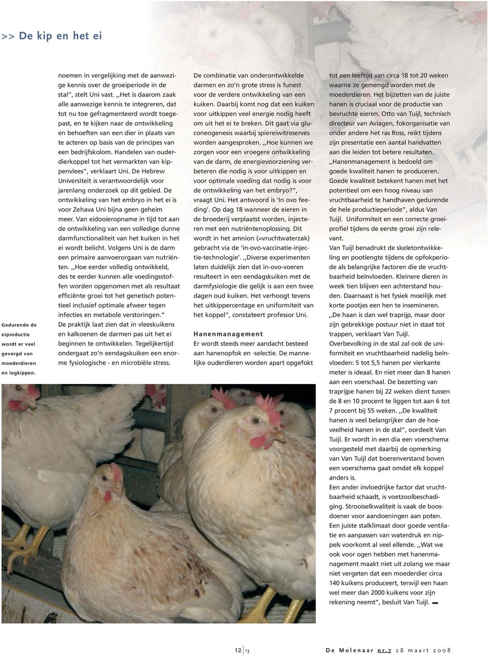 van de principes van een bedrijfskolom. Handelen van ouderdierkoppel tot het vermarkten van kippenvlees, verklaart Uni.