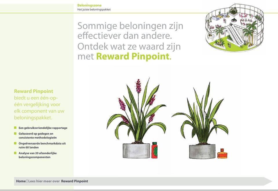 Reward Pinpoint biedt u een één-opéén vergelijking voor elk component van uw beloningspakket.