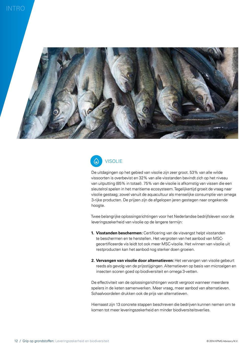 75% van de visolie is afkomstig van vissen die een sleutelrol spelen in het maritieme ecosysteem.