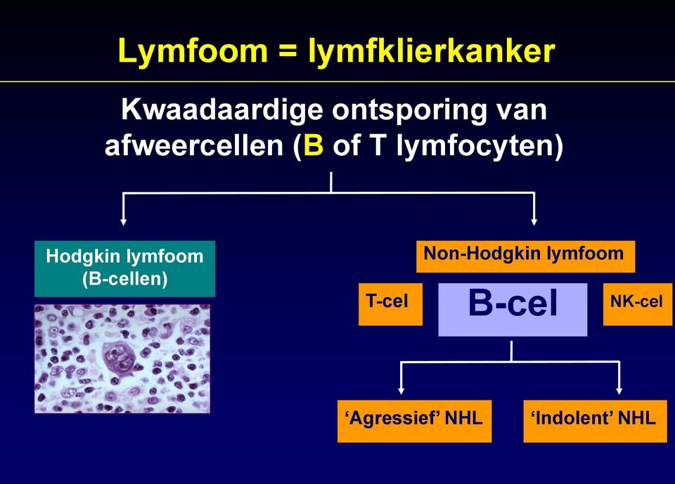 lymfocyten) Hodgkin lymfoom (B-cellen) T-cel