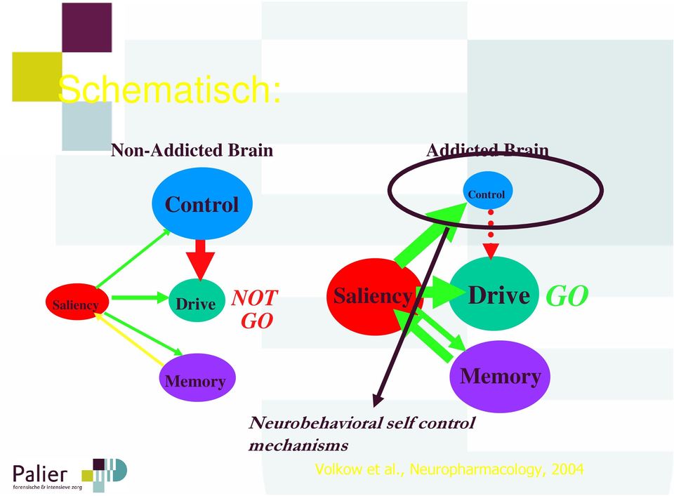 Drive GO Memory Memory Neurobehavioral self