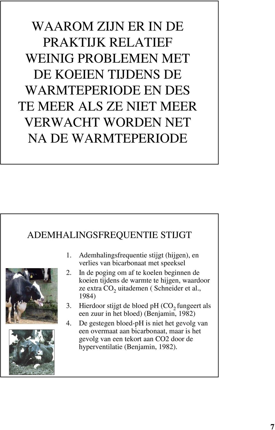 In de poging om af te koelen beginnen de koeien tijdens de warmte te hijgen, waardoor ze extra CO 2 uitademen ( Schneider et al., 1984) 3.