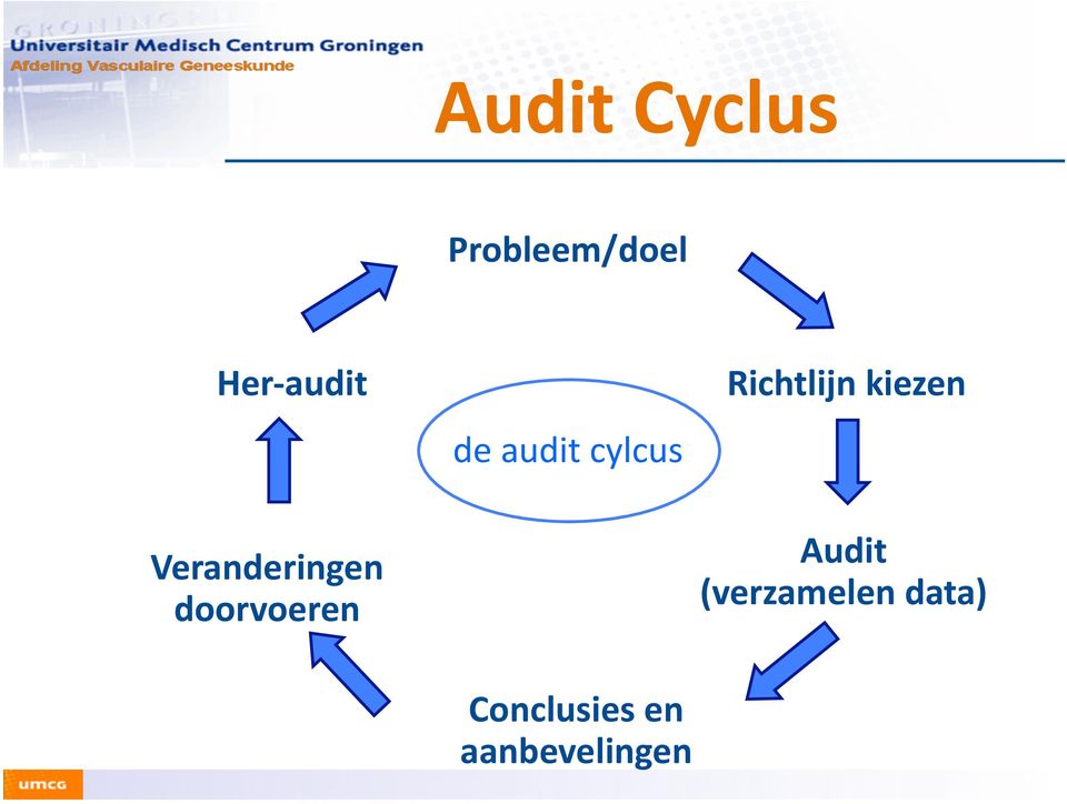 audit cylcus Richtlijn kiezen Audit