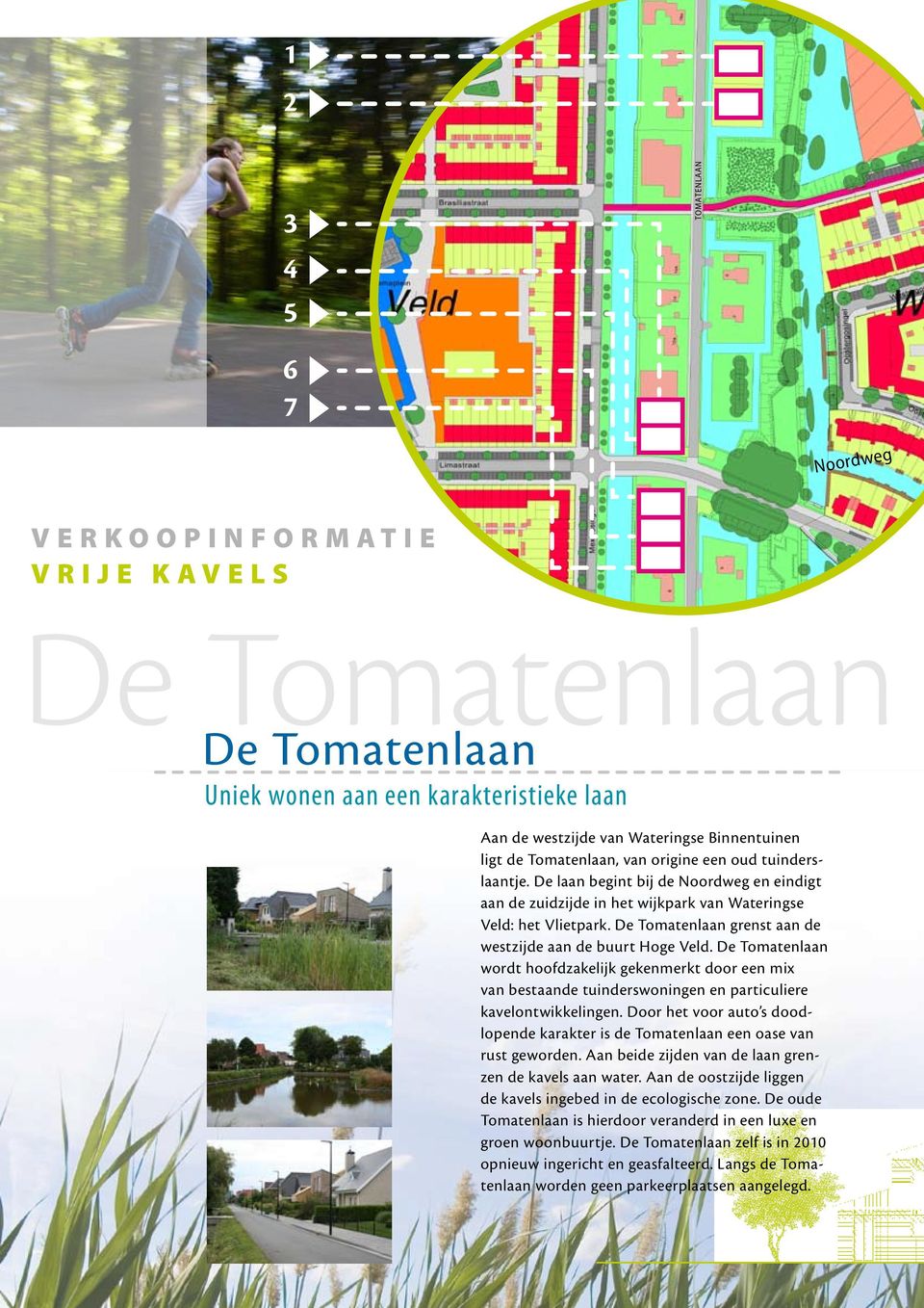 De Tomatenlaan grenst aan de westzijde aan de buurt Hoge Veld. De Tomatenlaan wordt hoofdzakelijk gekenmerkt door een mix van bestaande tuinderswoningen en particuliere kavelontwikkelingen.