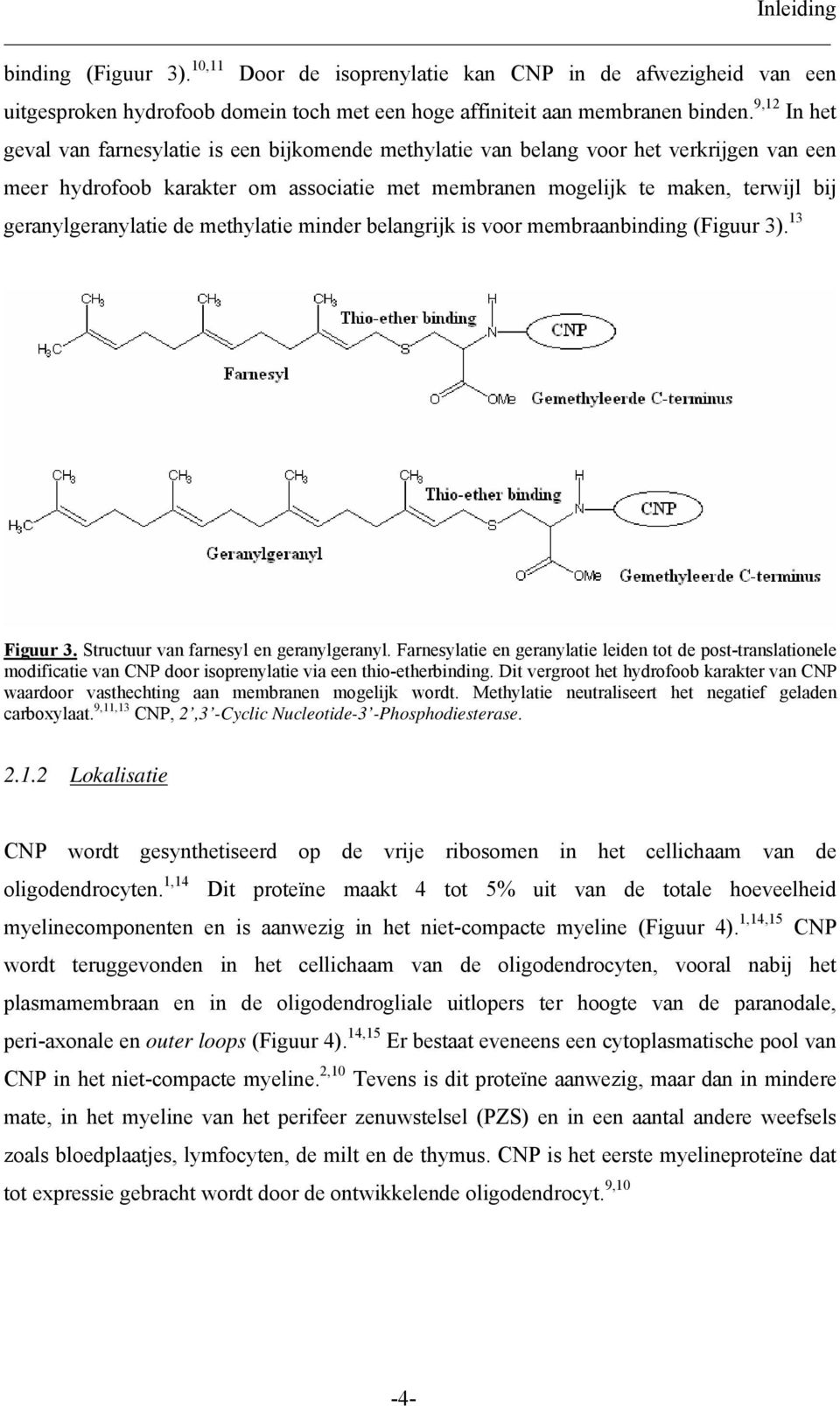 geranylgeranylatie de methylatie minder belangrijk is voor membraanbinding (Figuur 3). 13 Figuur 3. Structuur van farnesyl en geranylgeranyl.