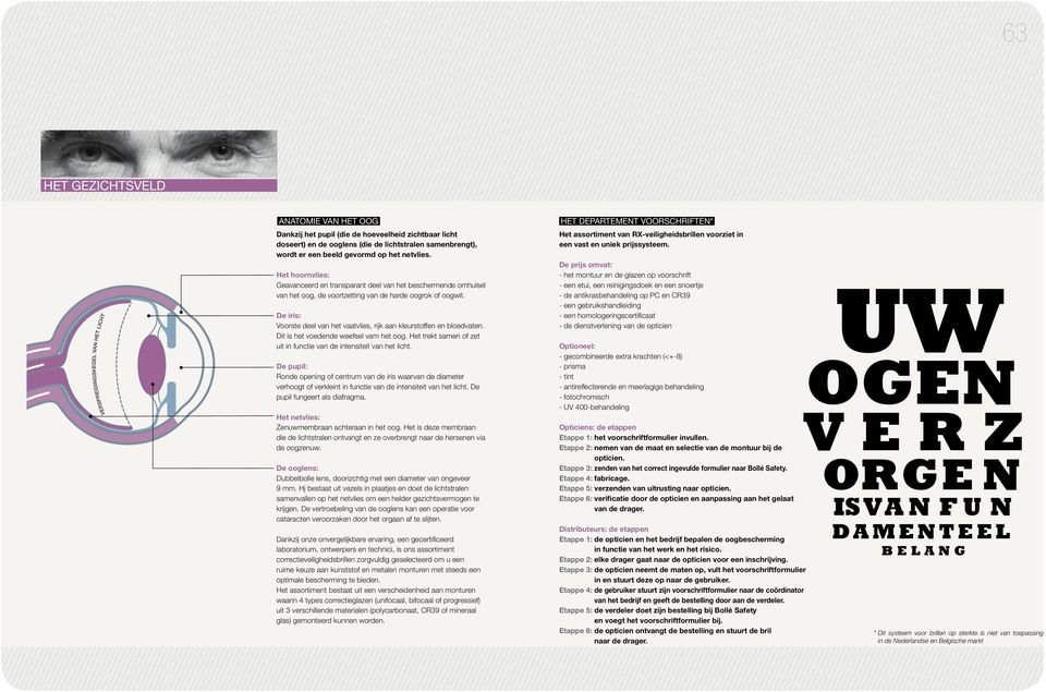 De iris: Voorste deel van het vaatvlies, rijk aan kleurstoffen en bloedvaten. Dit is het voedende weefsel vam het oog. Het trekt samen of zet uit in functie van de intensiteit van het licht.