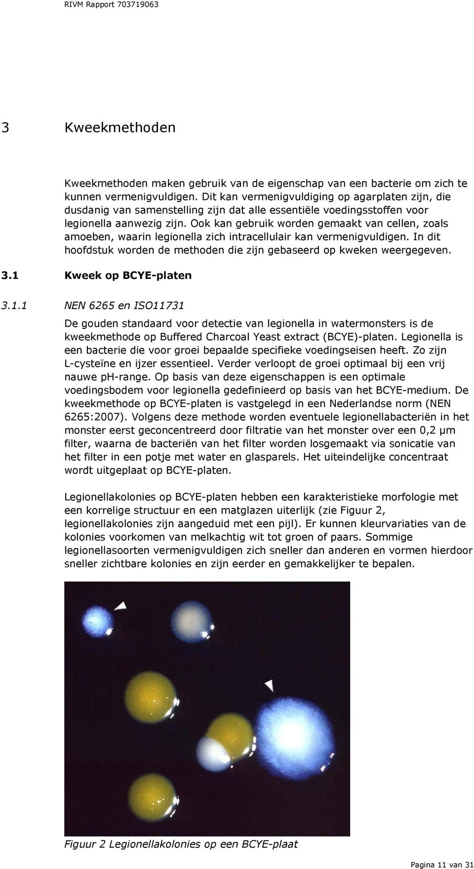 Ook kan gebruik worden gemaakt van cellen, zoals amoeben, waarin legionella zich intracellulair kan vermenigvuldigen. In dit hoofdstuk worden de methoden die zijn gebaseerd op kweken weergegeven. 3.