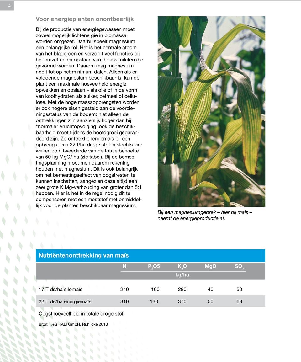 Alleen als er voldoende magnesium beschikbaar is, kan de plant een maximale hoeveelheid energie opwekken en opslaan als olie of in de vorm van koolhydraten als suiker, zetmeel of cellulose.