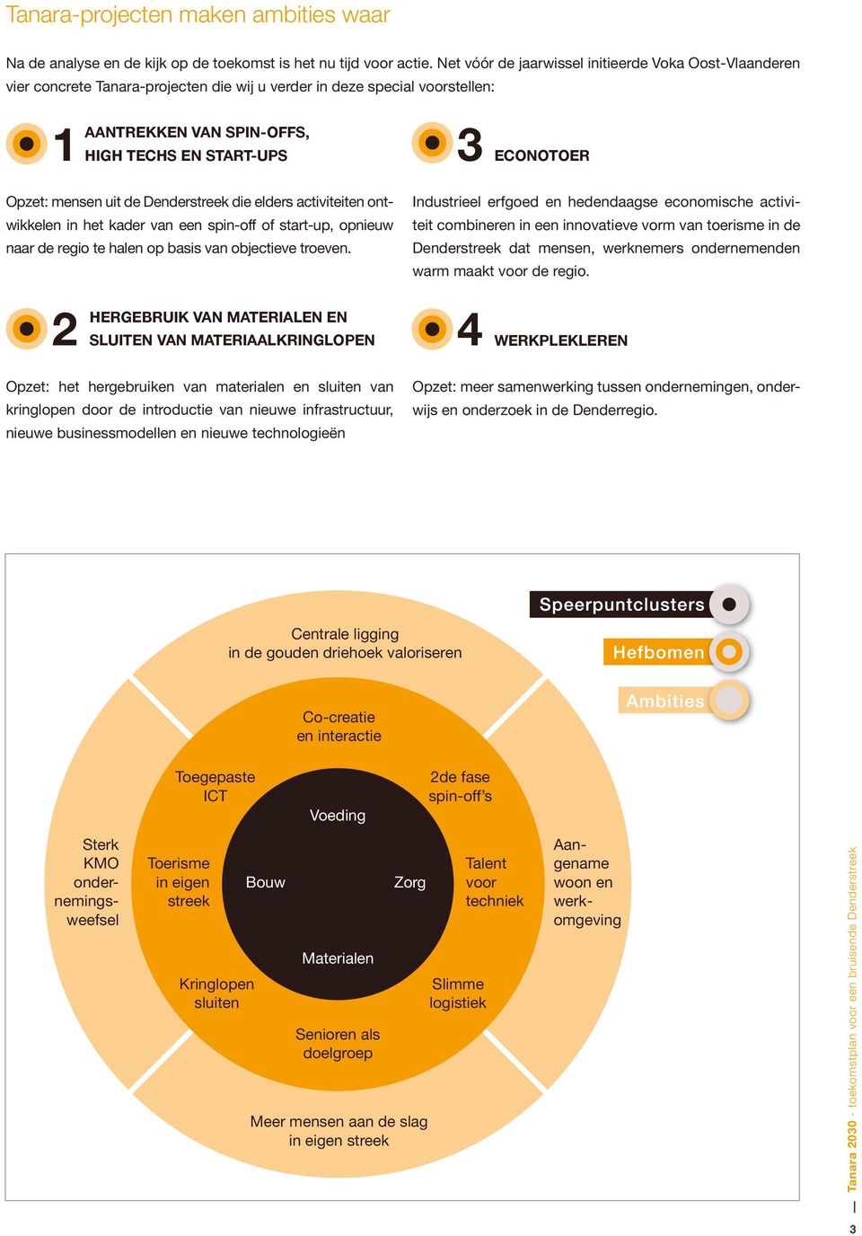 Opzet: mensen uit de Denderstreek die elders activiteiten ontwikkelen in het kader van een spin-off of start-up, opnieuw naar de regio te halen op basis van objectieve troeven.