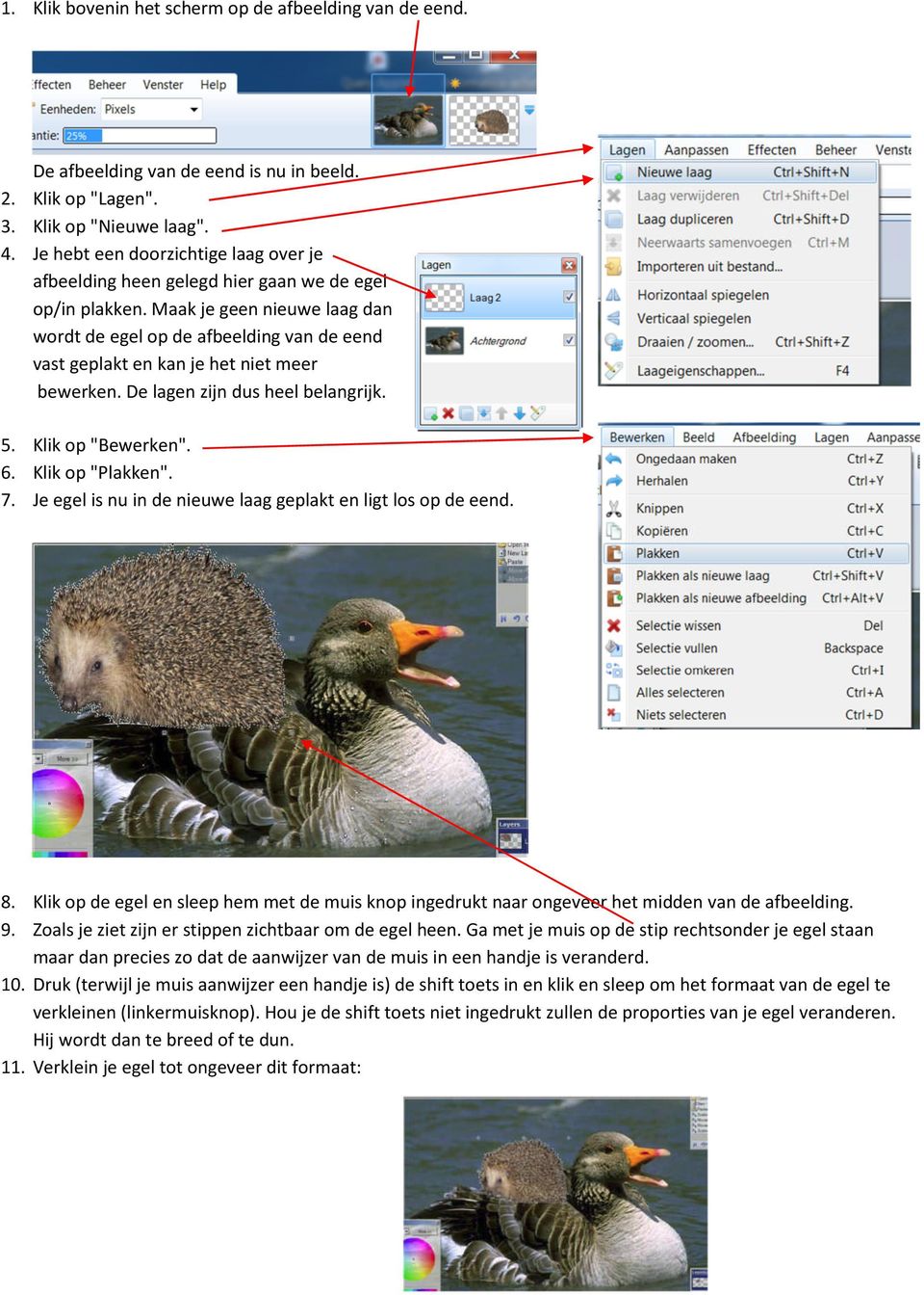 Maak je geen nieuwe laag dan wordt de egel op de afbeelding van de eend vast geplakt en kan je het niet meer bewerken. De lagen zijn dus heel belangrijk. 5. Klik op "Bewerken". 6. Klik op "Plakken".