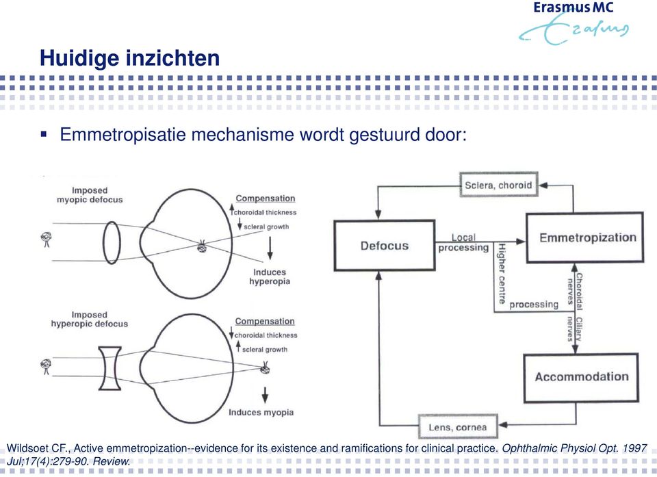 , Active emmetropization--evidence for its existence and