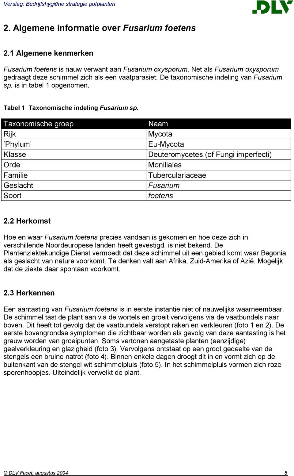 Taxonomische groep Rijk Phylum Klasse Orde Familie Geslacht Soort Naam Mycota Eu-Mycota Deuteromycetes (of Fungi imperfecti) Moniliales Tuberculariaceae Fusarium foetens 2.