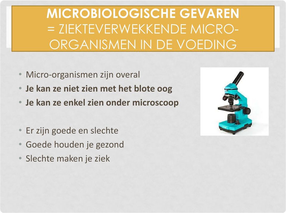 met het blote oog Je kan ze enkel zien onder microscoop Er