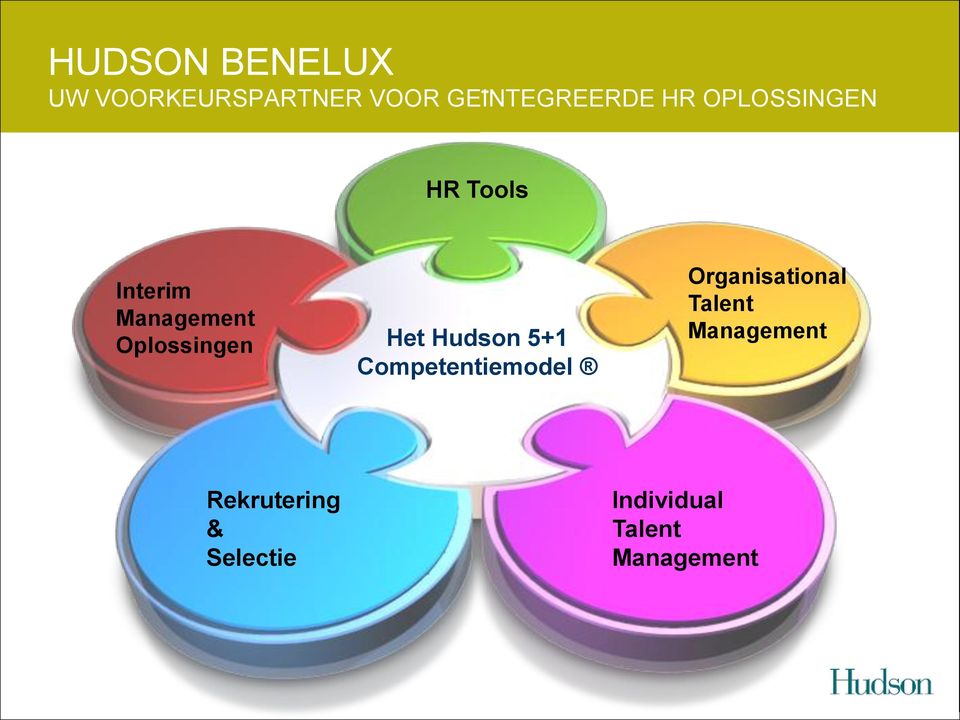 Het Hudson 5+1 Competentiemodel Organisational Talent