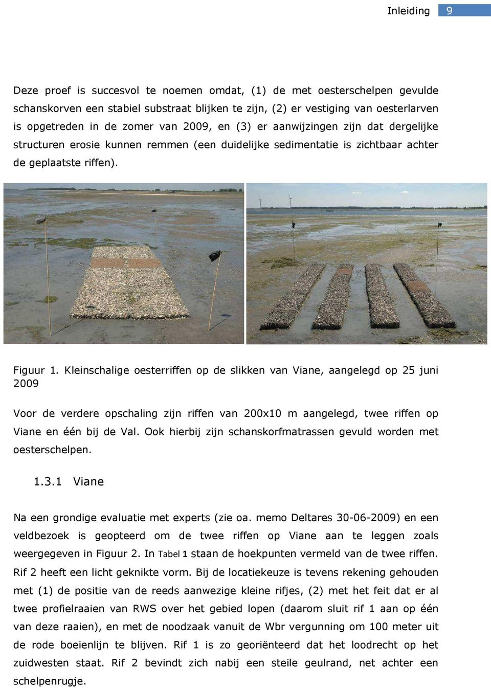 Kleinschalige oesterriffen op de slikken van Viane, aangelegd op 25 juni 2009 Voor de verdere opschaling zijn riffen van 200x10 m aangelegd, twee riffen op Viane en één bij de Val.