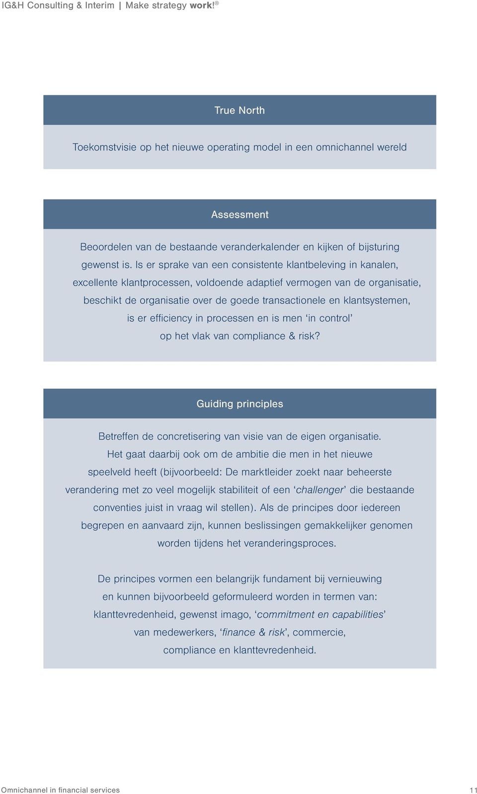 klantsystemen, is er efficiency in processen en is men in control op het vlak van compliance & risk? Guiding principles Betreffen de concretisering van visie van de eigen organisatie.