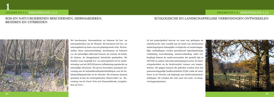 2 BOS-EN NATUURGEBIEDEN BESCHERMEN, HERWAARDEREN, BEHEREN EN UITBREIDEN ECOLOGISCHE EN LANDSCHAPPELIJKE VERBINDINGEN ONTWIKKELEN We beschermen, herwaarderen en beheren de bos- en natuurgebieden van