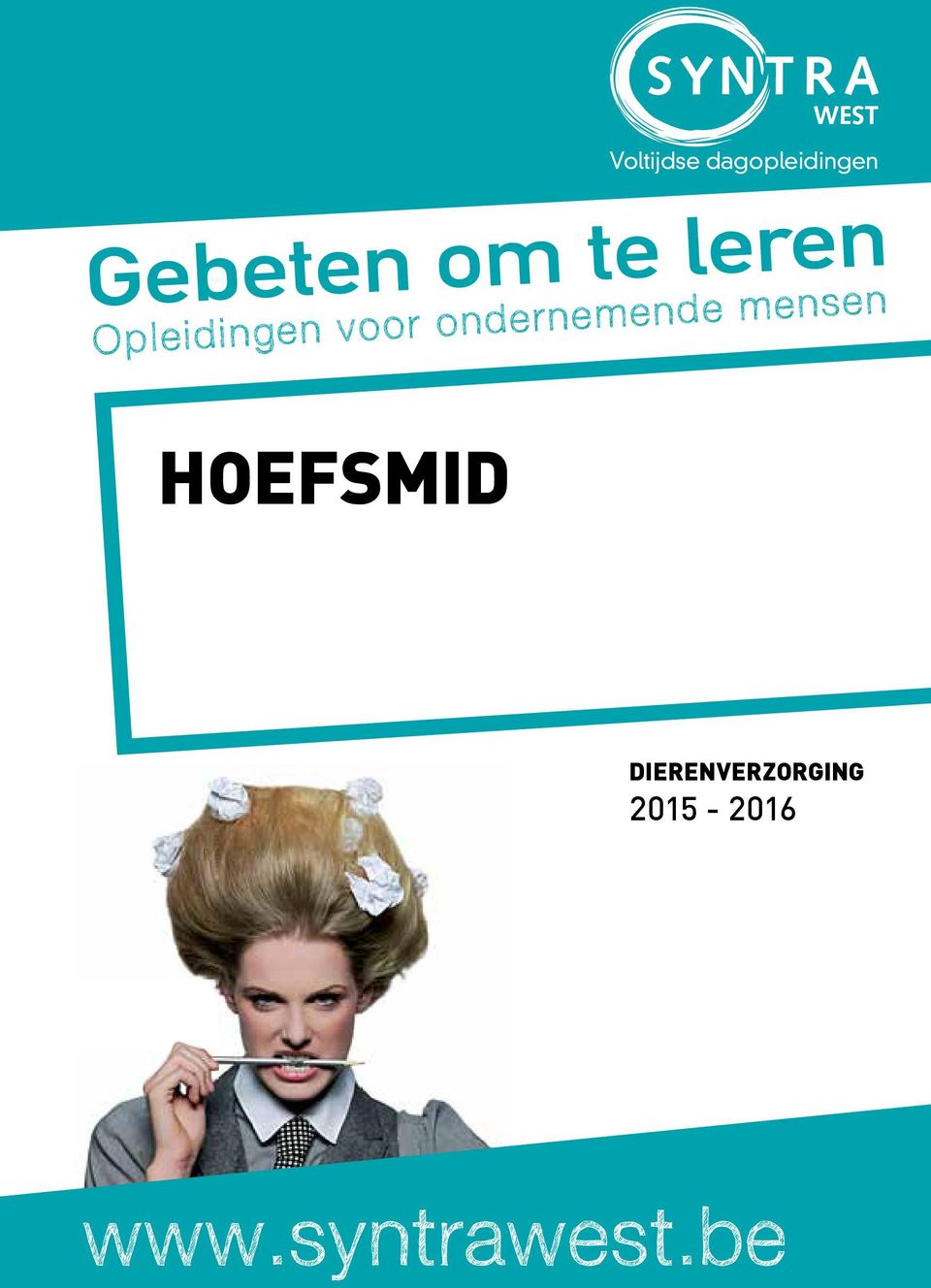 ondernemende mensen HOEFSMID