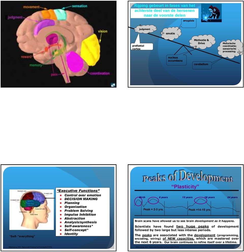 Planning Organization Problem Solving Impulse Inhibition Abstraction Analysis/synthesis Self-awareness* Self-concept* Identity Birth Peak = 2-3 yrs.