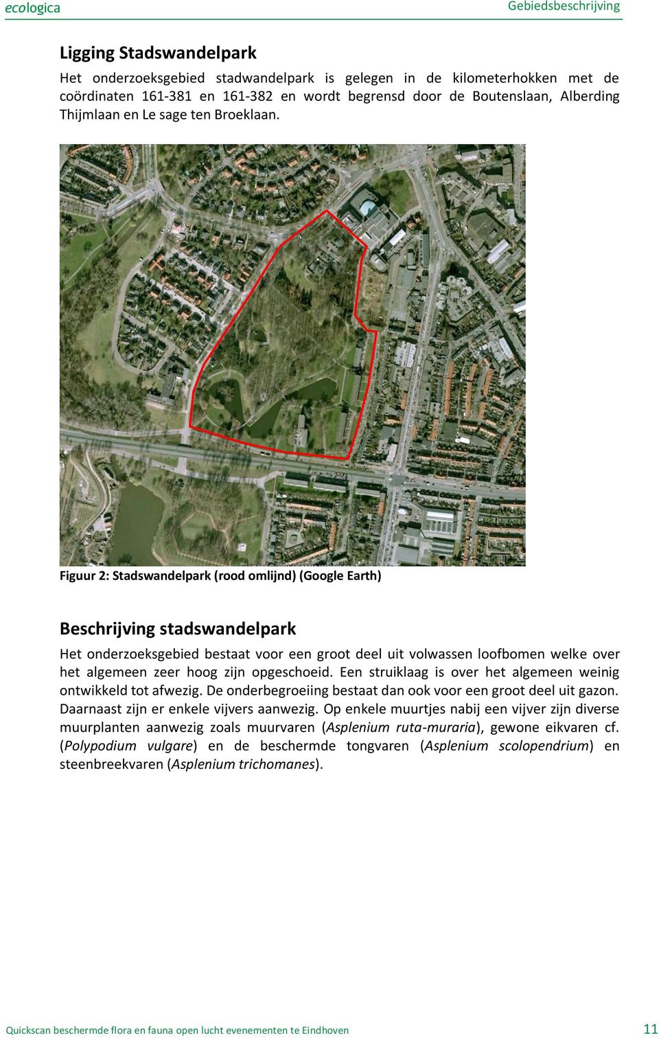 Figuur 2: Stadswandelpark (rood omlijnd) (Google Earth) Beschrijving stadswandelpark Het onderzoeksgebied bestaat voor een groot deel uit volwassen loofbomen welke over het algemeen zeer hoog zijn