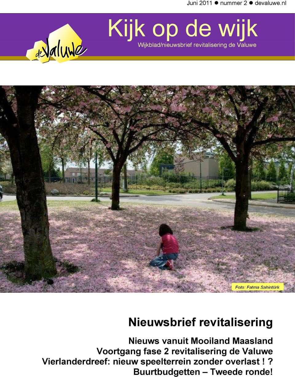 Fatma Sahintürk Nieuwsbrief revitalisering Nieuws vanuit Mooiland Maasland