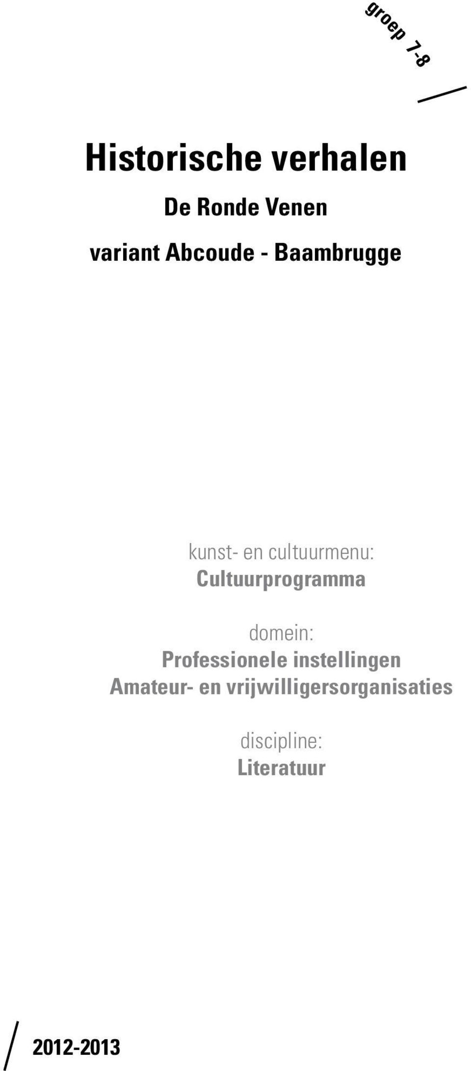 Cultuurprogramma domein: Professionele instellingen