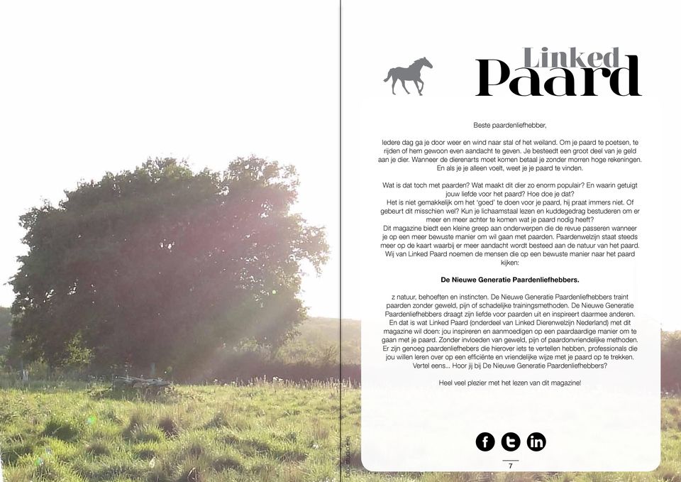 Wat is dat toch met paarden? Wat maakt dit dier zo enorm populair? En waarin getuigt jouw liefde voor het paard? Hoe doe je dat?