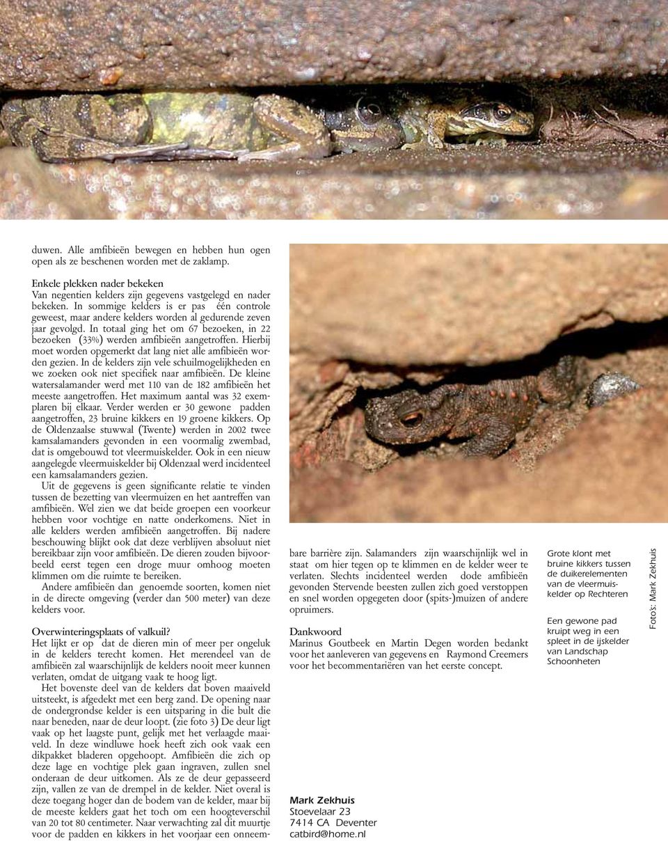 In sommige kelders is er pas één controle geweest, maar andere kelders worden al gedurende zeven jaar gevolgd. In totaal ging het om 67 bezoeken, in 22 bezoeken (33%) werden amfibieën aangetroffen.