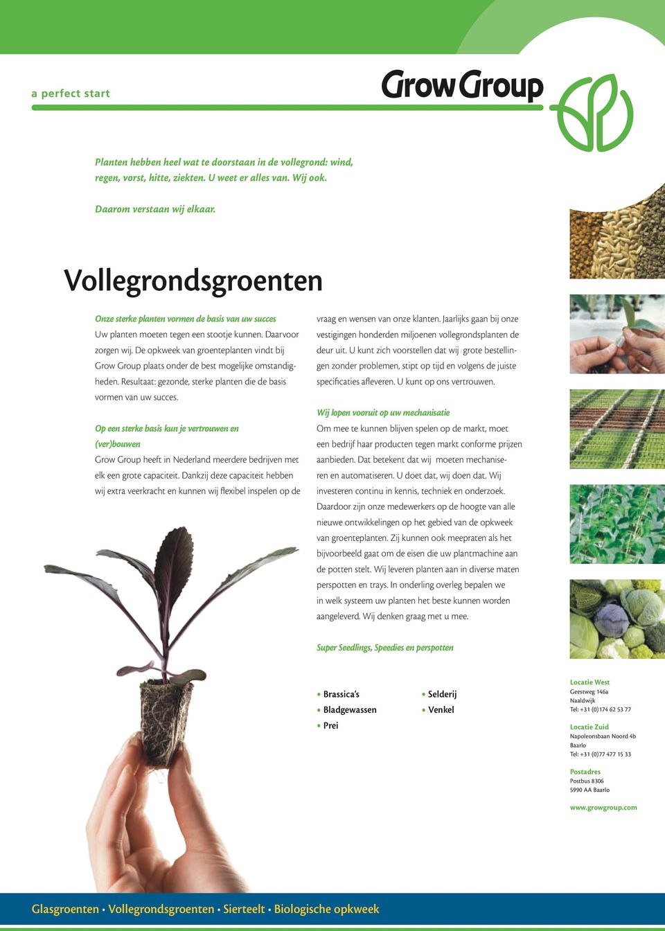 De opkweek van groenteplanten vindt bij Grow Group plaats onder de best mogelijke omstandigheden. Resultaat: gezonde, sterke planten die de basis vormen van uw succes.