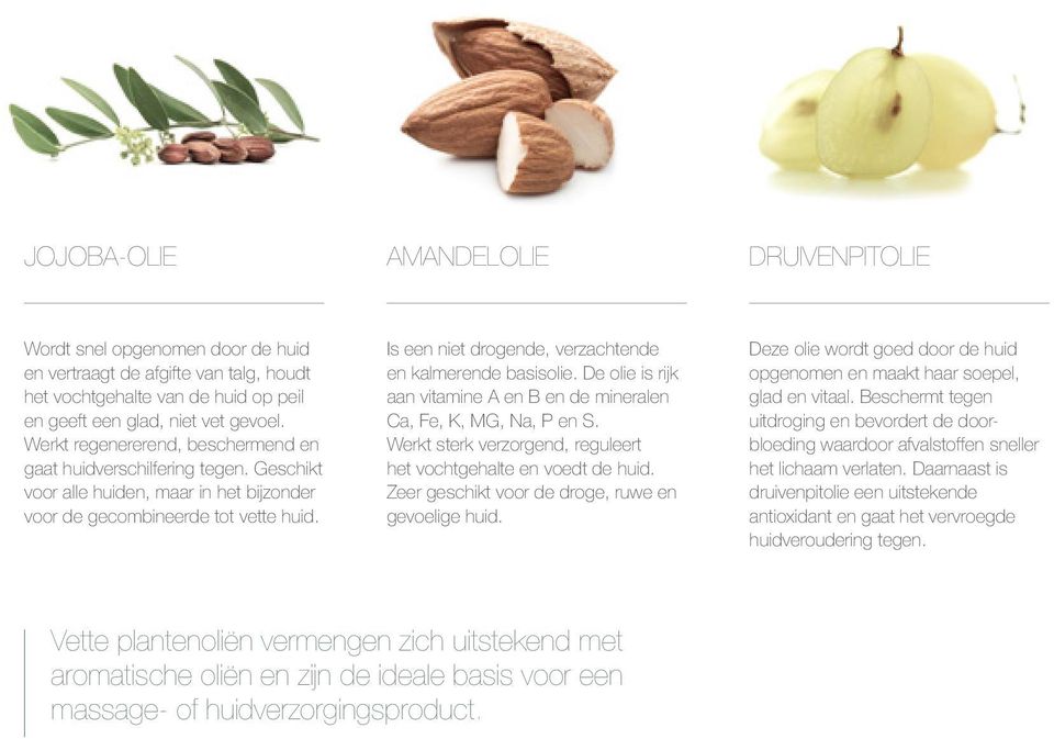 Is een niet drogende, verzachtende en kalmerende basisolie. De olie is rijk aan vitamine A en B en de mineralen Ca, Fe, K, MG, Na, P en S.