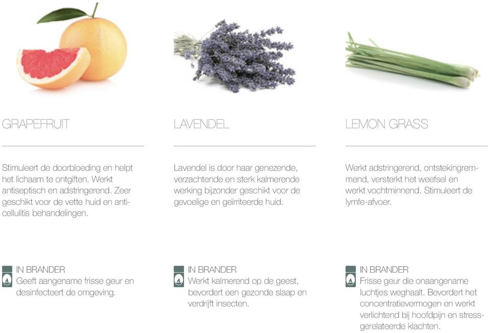 Lavendel is door haar genezende, verzachtende en sterk kalmerende werking bijzonder geschikt voor de gevoelige en geïrriteerde huid.