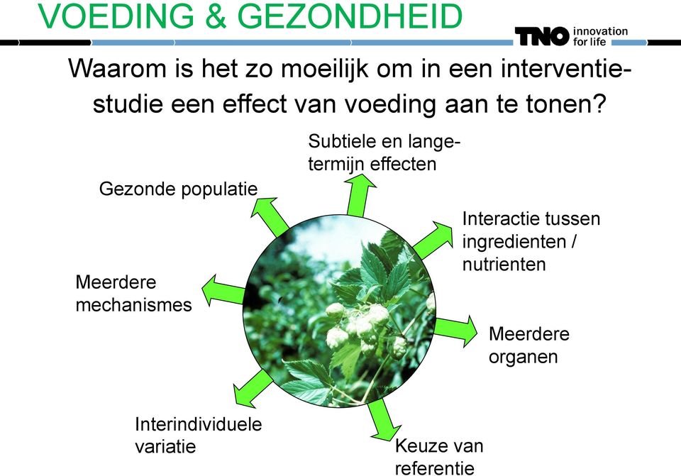 Gezonde populatie Meerdere mechanismes Subtiele en langetermijn effecten