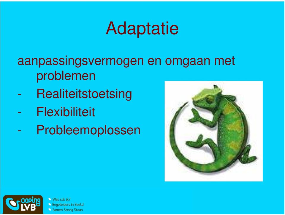 omgaan met problemen -