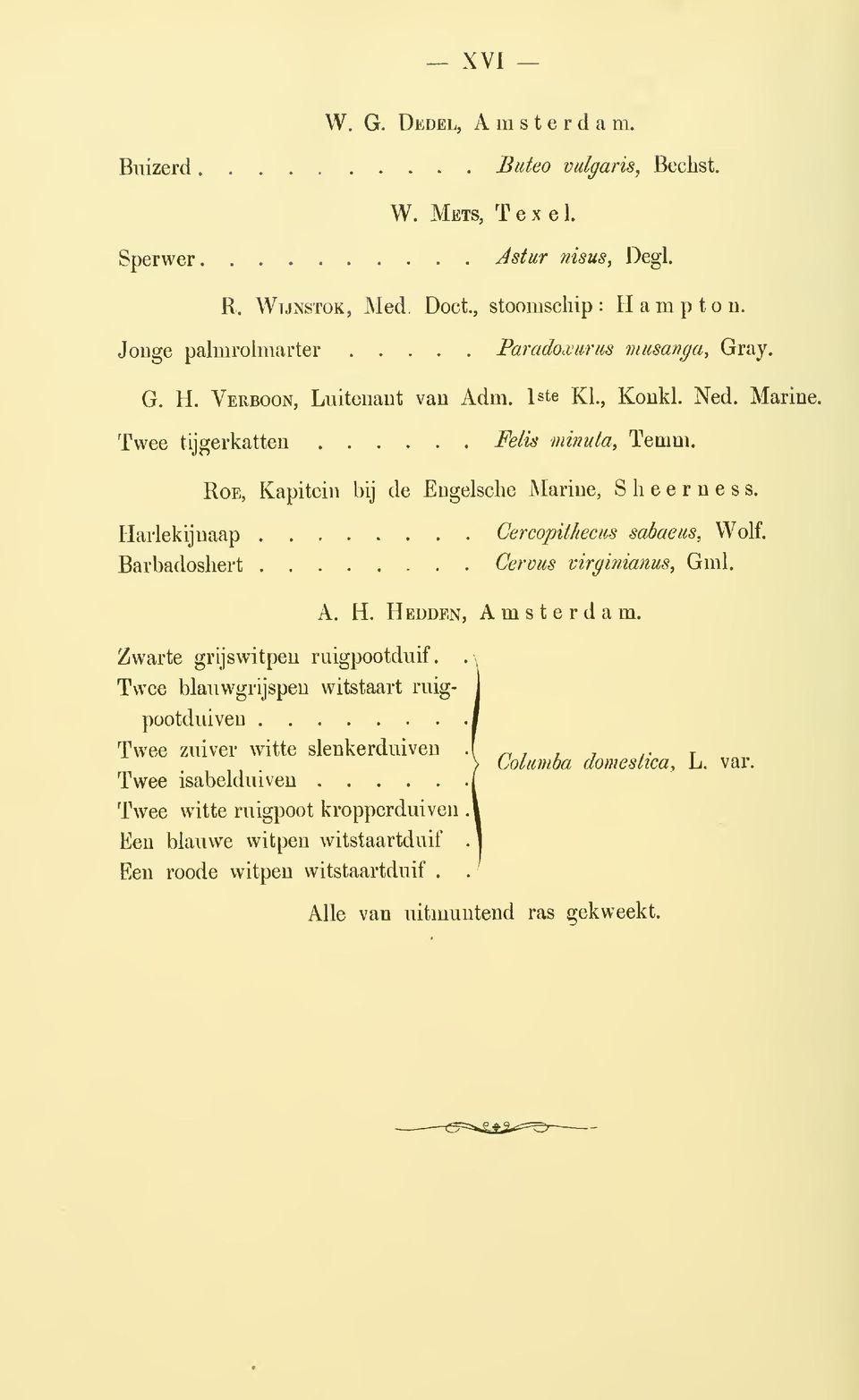 Roe, Kapitein bij de Engelsclie Marine, Sheerness. Harlekijnaap Cercopithecus sabaeus, Wolf. Barbadosliert Cervus virginianus, Gml. A. H. Heüden, Amsterdam.