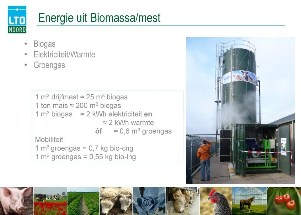 biogas 2 kwh elektriciteit en 2 kwh warmte óf 0,6 m 3 groengas