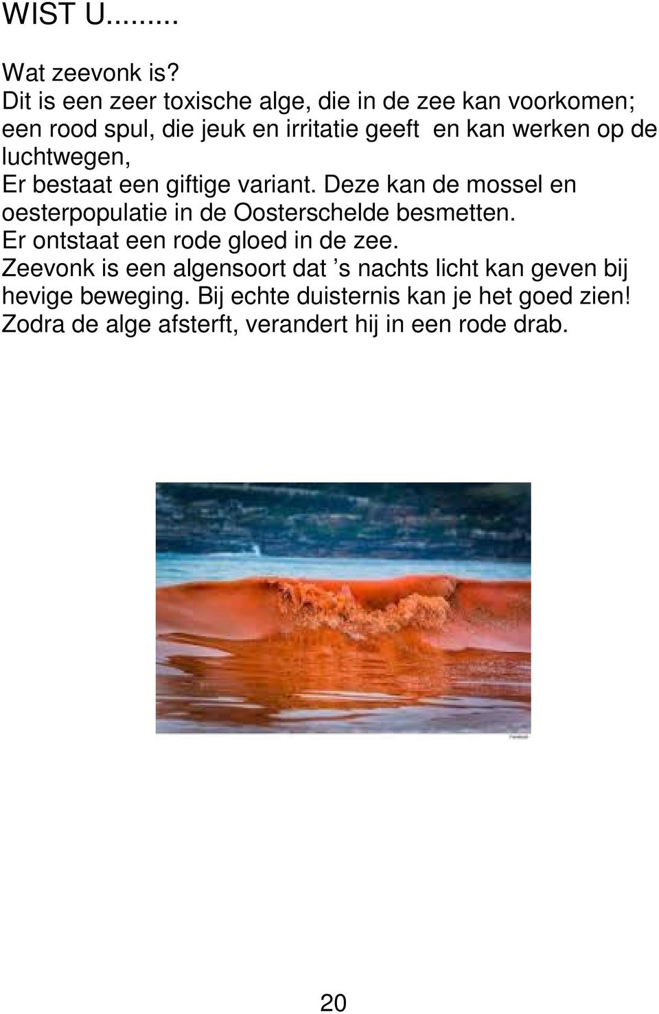 de luchtwegen, Er bestaat een giftige variant. Deze kan de mossel en oesterpopulatie in de Oosterschelde besmetten.