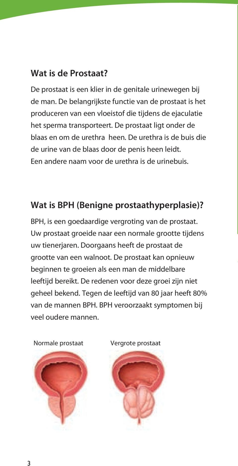 De urethra is de buis die de urine van de blaas door de penis heen leidt. Een andere naam voor de urethra is de urinebuis. Wat is BPH (Benigne prostaathyperplasie)?