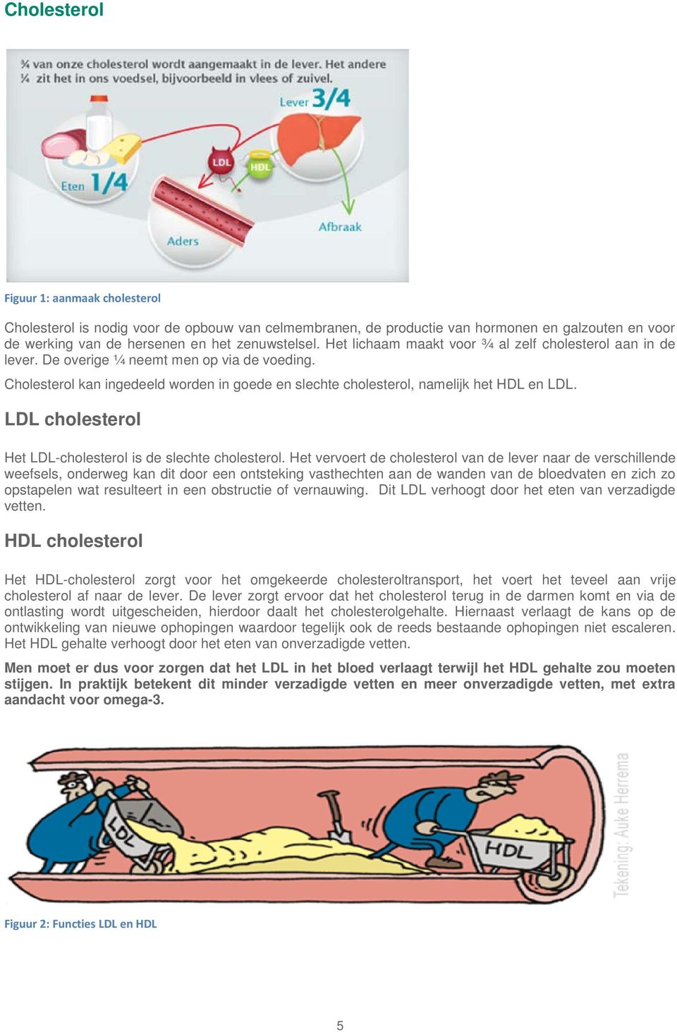 LDL cholesterol Het LDL-cholesterol is de slechte cholesterol.