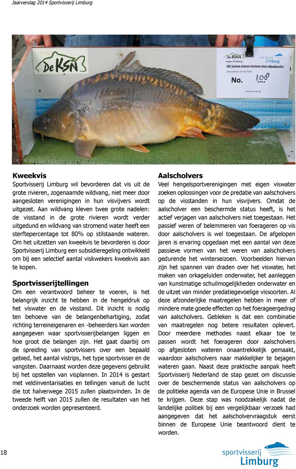 Om het uitzetten van kweekvis te bevorderen is door Sportvisserij Limburg een subsidieregeling ontwikkeld om bij een selectief aantal viskwekers kweekvis aan te kopen.