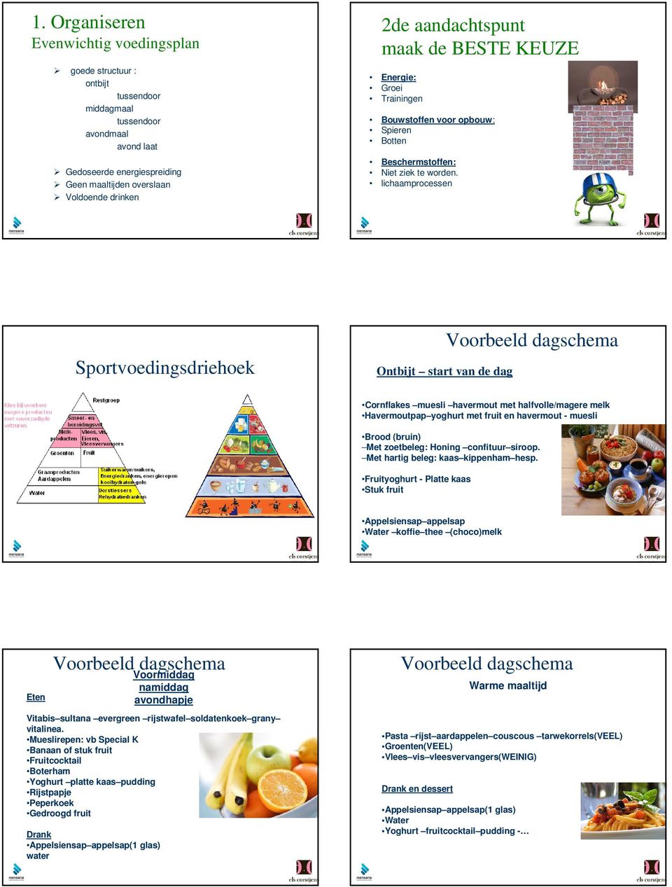 lichaamprocessen Sportvoedingsdriehoek Ontbijt start van de dag Voorbeeld dagschema Cornflakes muesli havermout met halfvolle/magere melk Havermoutpap yoghurt met fruit en havermout - muesli Brood