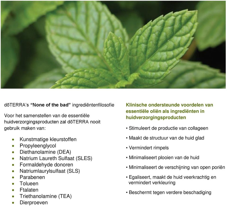 Natrium Laureth Sulfaat (SLES) Formaldehyde donoren Natriumlaurylsulfaat (SLS) Parabenen Tolueen Ftalaten Triethanolamine (TEA) Dierproeven Maakt de structuur van de huid glad