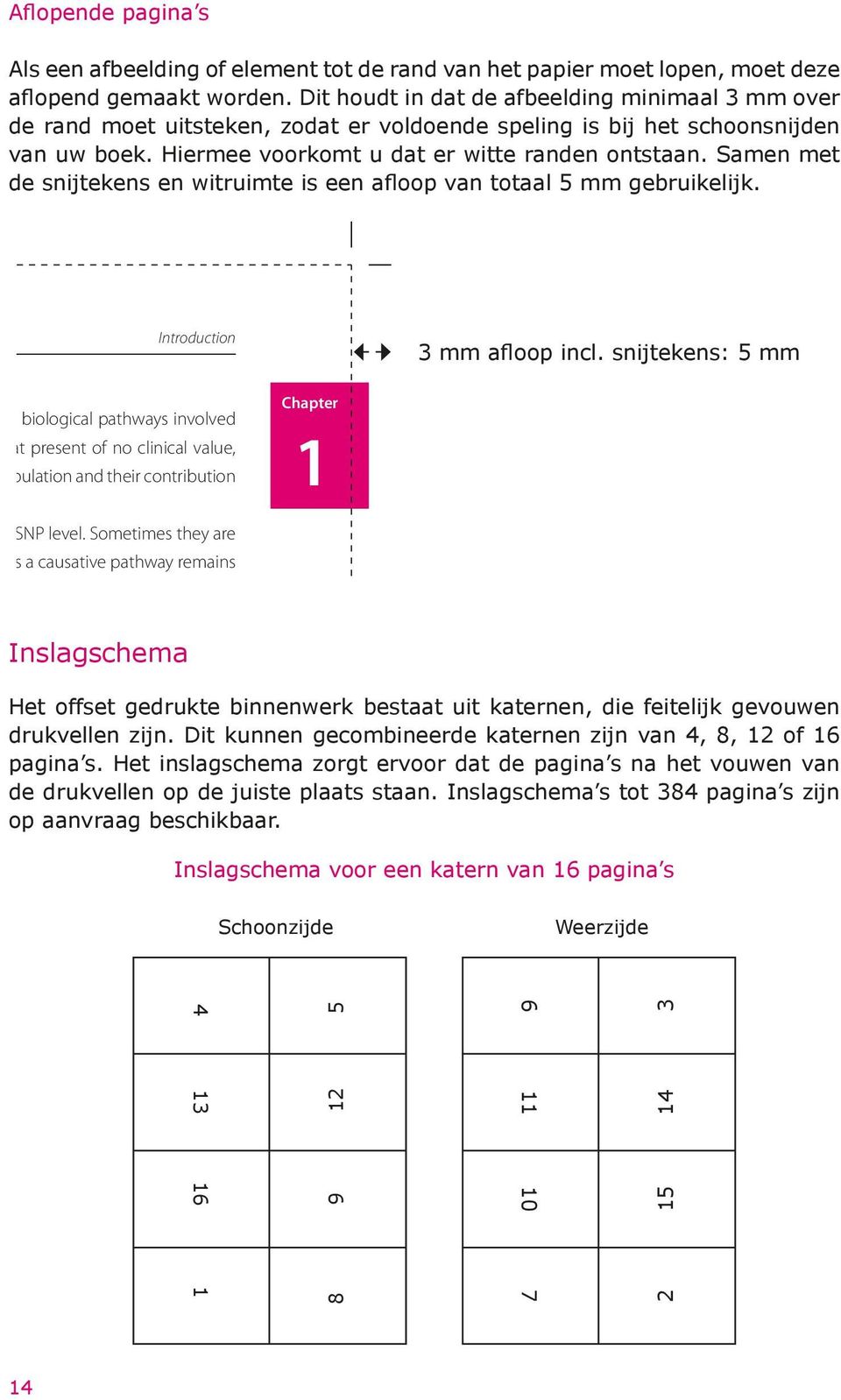 Samen met de snijtekens en witruimte is een afloop van totaal 5 mm gebruikelijk. Introduction 3 mm afloop incl.