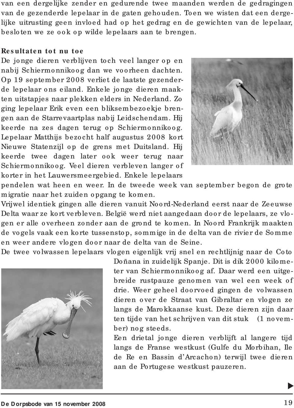 Resultaten tot nu toe De jonge dieren verblijven toch veel langer op en nabij Schiermonnikoog dan we voorheen dachten. Op 19 september 2008 verliet de laatste gezenderde lepelaar ons eiland.