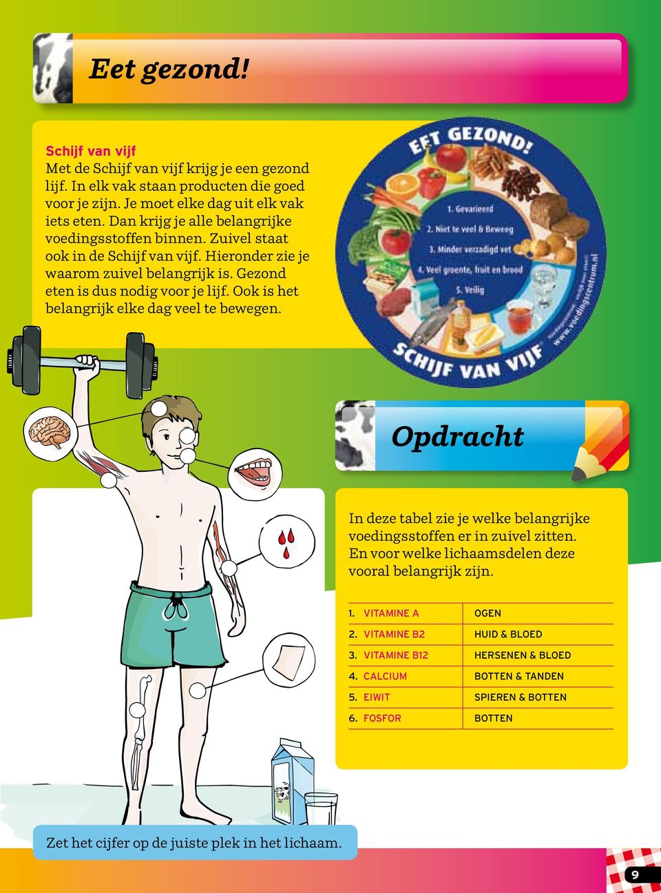 ok is het belangrijk elke dag veel te bewegen. pdracht In deze tabel zie je welke belangrijke voedingsstoffen er in zuivel zitten.