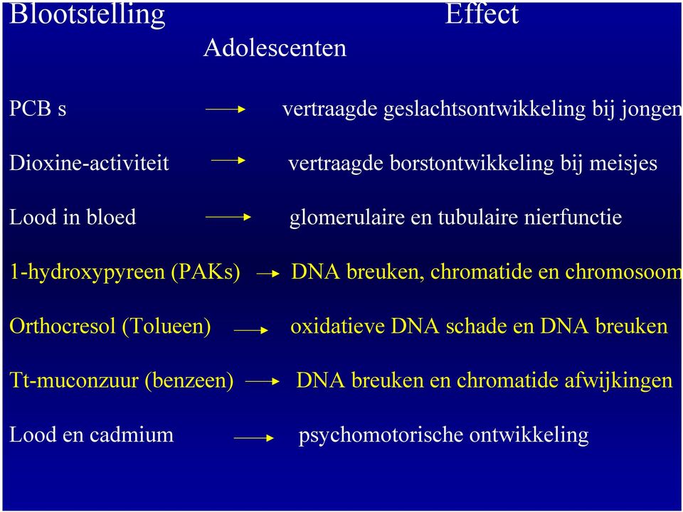 1-hydroxypyreen (PAKs) DNA breuken, chromatide en chromosoom Orthocresol (Tolueen) oxidatieve DNA schade